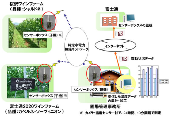 実証実験の概要