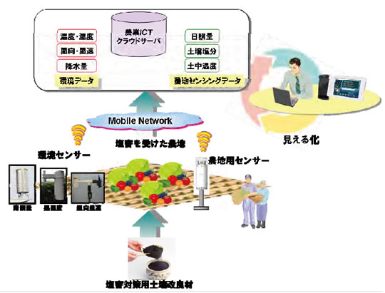 塩害を受けた農地へのセンサーの設置イメージ